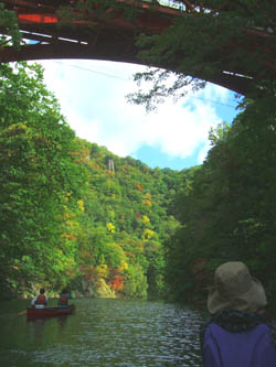 c0097856_082853.jpg