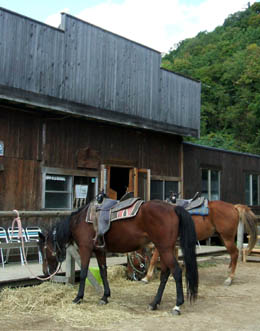 c0097856_152153.jpg