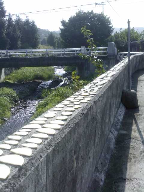 e0186656_19503887.jpg