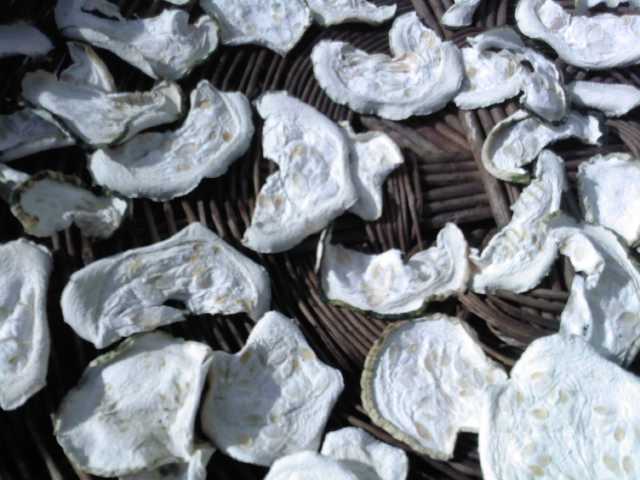 e0186656_2085988.jpg