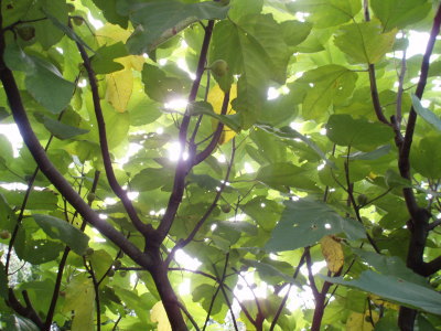 d0042157_021775.jpg