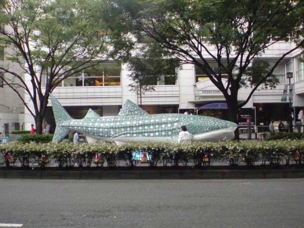 e0153367_1541180.jpg