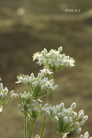 c0027369_215305.jpg