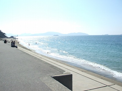 d0097169_815424.jpg