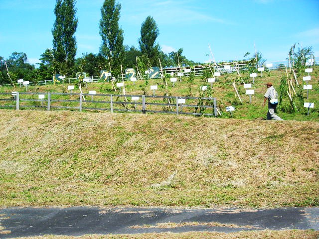f0207970_13445072.jpg