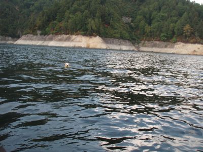 f0045872_17411.jpg