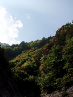 f0045872_191933.jpg