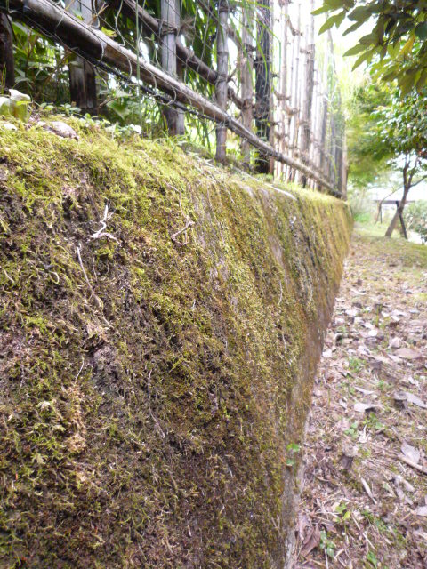 c0160778_2038351.jpg