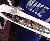 b0001979_10411123.jpg