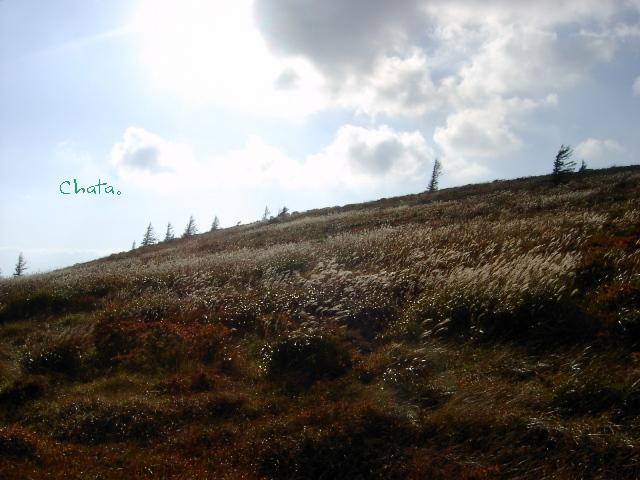 a0091680_16281540.jpg