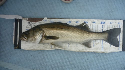 f0140384_20223825.jpg