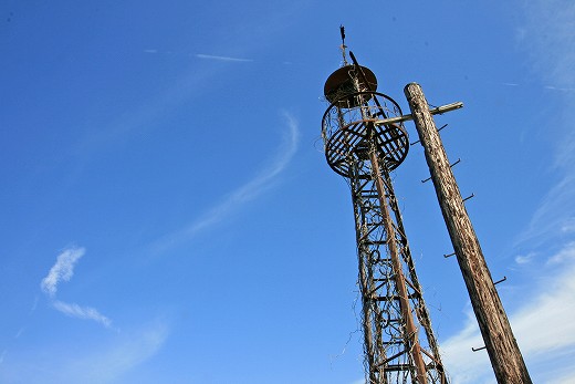 e0190885_19481688.jpg