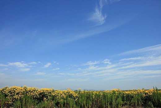 e0190885_1952206.jpg