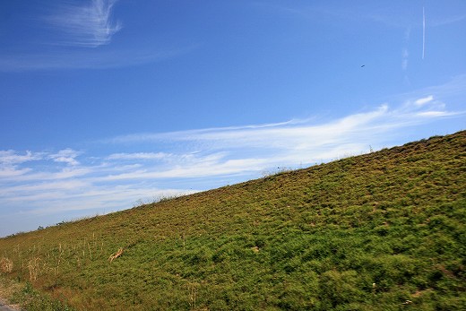 e0190885_19523358.jpg