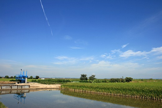 e0190885_19523885.jpg