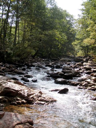 b0178889_12123880.jpg