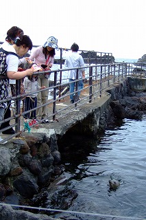 a0079990_22412412.jpg