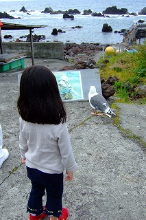 a0079990_22414549.jpg