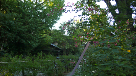 a0079292_15325434.jpg