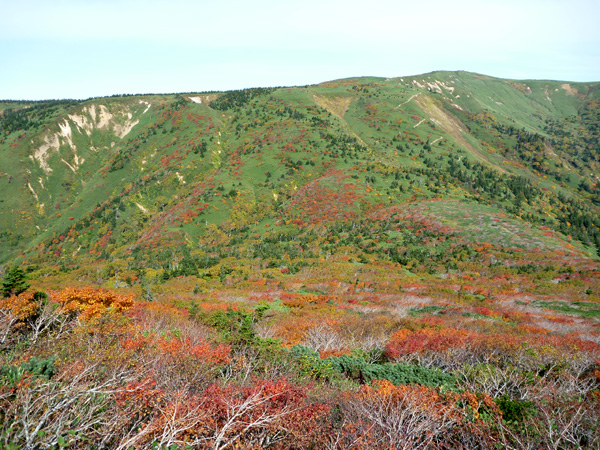 a0043193_22404744.jpg