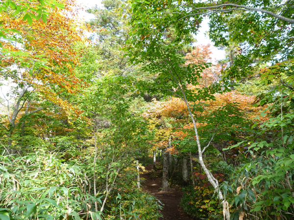 a0043193_2241136.jpg