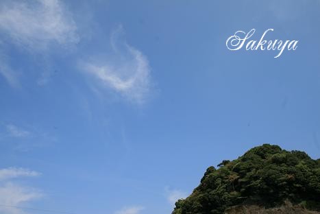 e0122194_14595370.jpg