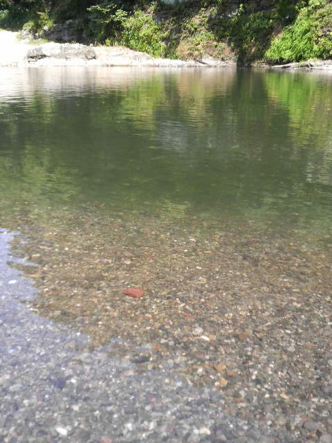 f0057095_174148.jpg
