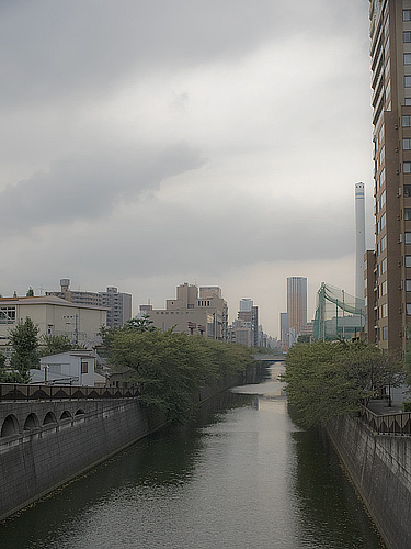 a0116197_2352714.jpg