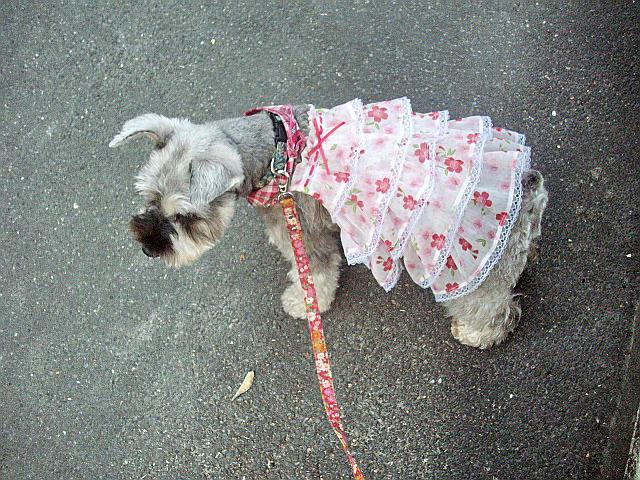 c0138198_1630451.jpg