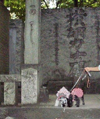 c0138198_16382762.jpg