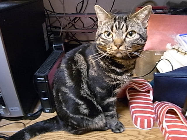 f0137098_2231327.jpg