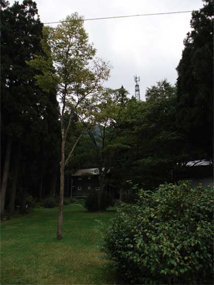 a0061599_7263252.jpg