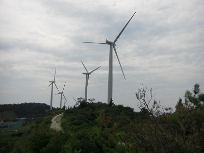 c0125501_772844.jpg