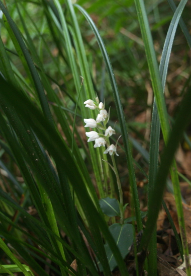 e0089001_22492546.jpg
