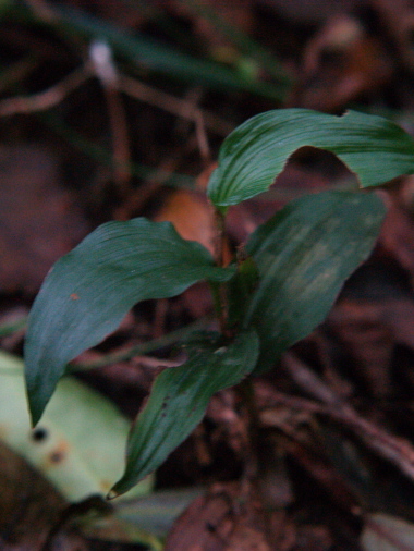 e0089001_22512079.jpg