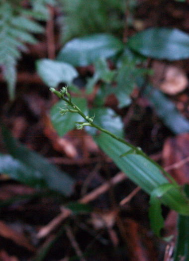 e0089001_2254477.jpg