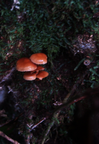 e0089001_22555010.jpg