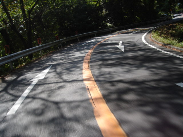 a0116205_0462281.jpg