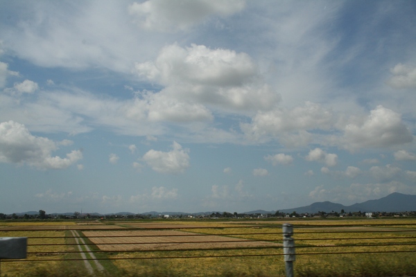 a0122208_133037.jpg