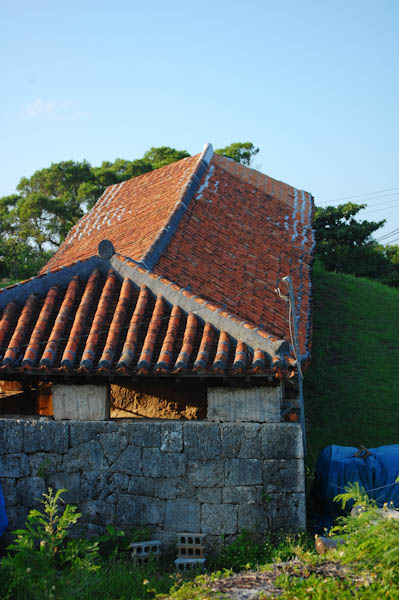 b0150811_223382.jpg