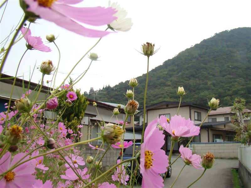 a0127015_21461595.jpg