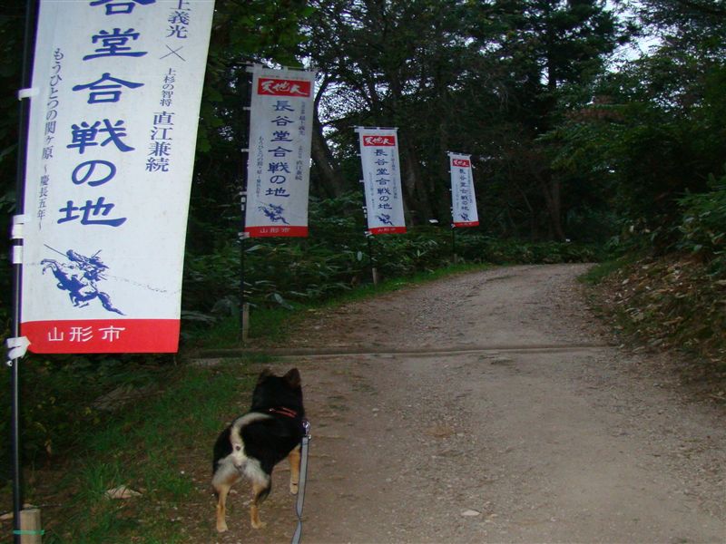a0127015_21551255.jpg
