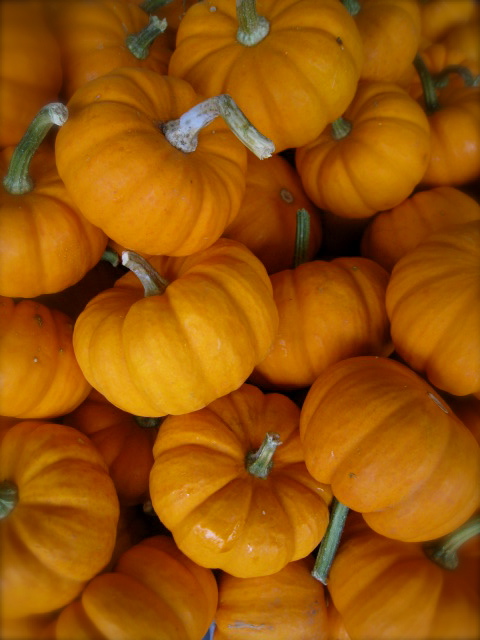 c0120817_6502144.jpg