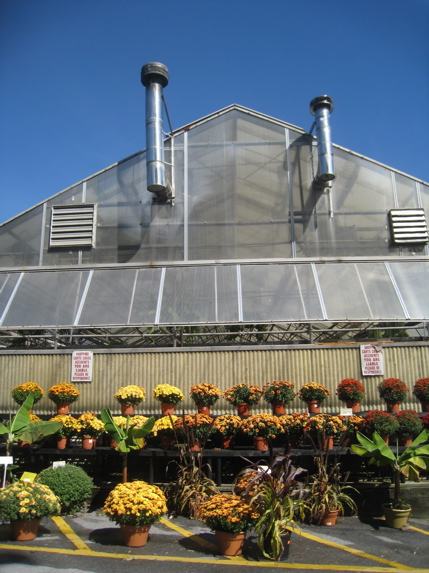 c0120817_76772.jpg
