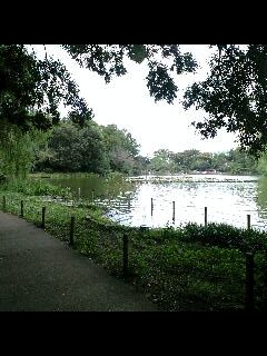 c0049919_1016415.jpg