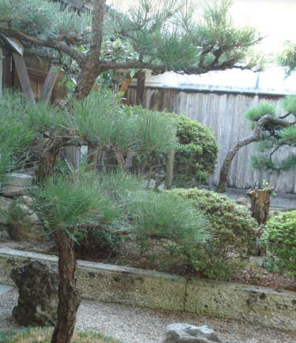e0110719_1210867.jpg