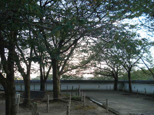 e0110719_123596.jpg