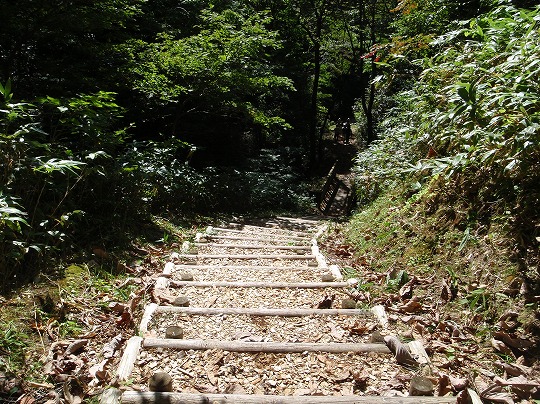 c0204924_1310820.jpg