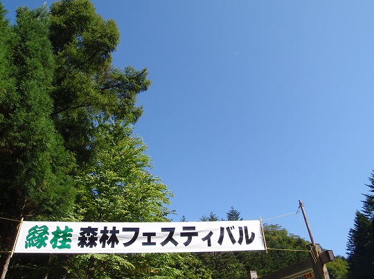 c0204924_1316028.jpg