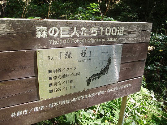 c0204924_13195946.jpg